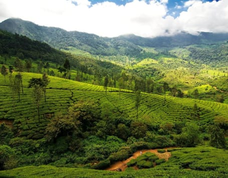 4D Munnar Tour Packages From Bangalore