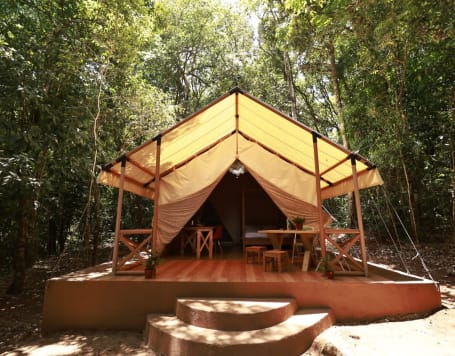 Riverside Camping in Coorg