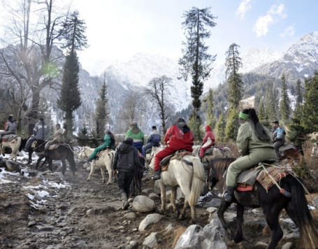 Horse riding in manali