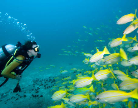 Baina Beach Scuba Diving