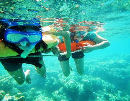 Snorkeling at Elephant Beach, Andaman