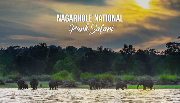 Book the Nagarhole National Park Safari Tickets | Banbanjara