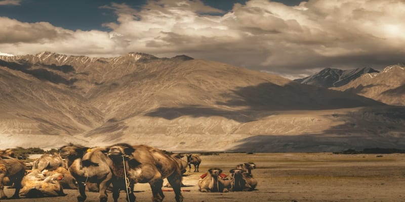 Sand Dunes of Hunder