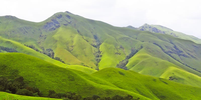 Sakleshpur (221 Km from Bangalore)