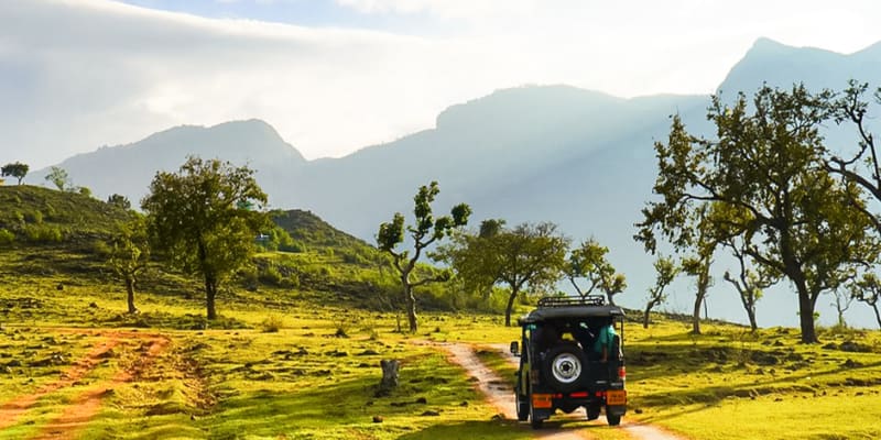 Masinagudi (245 Km from Bangalore)