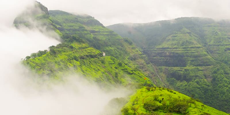 Agumbe (348 Km from Bangalore)