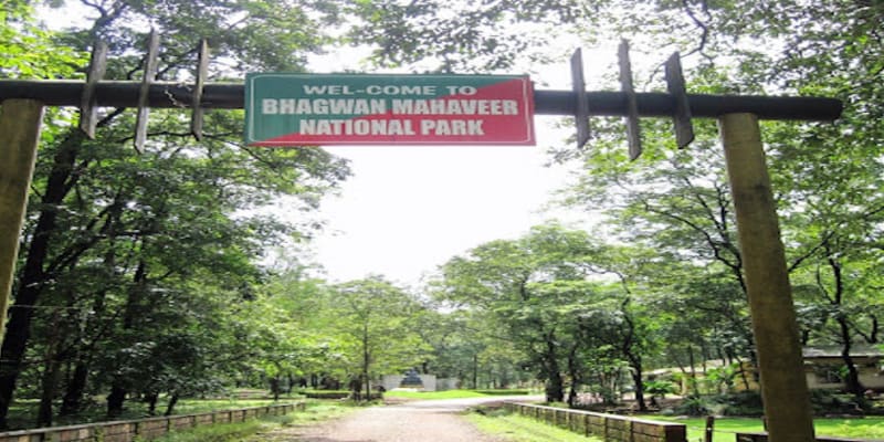 Mollem National Park