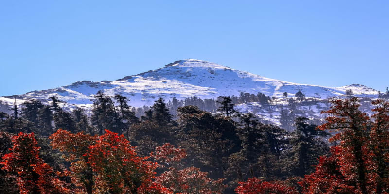 Kedarkantha in monsoon