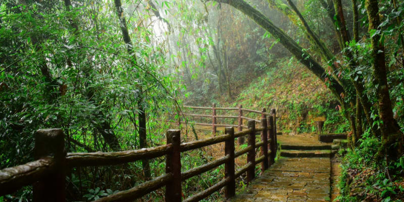 David Scott Trail, Meghalaya