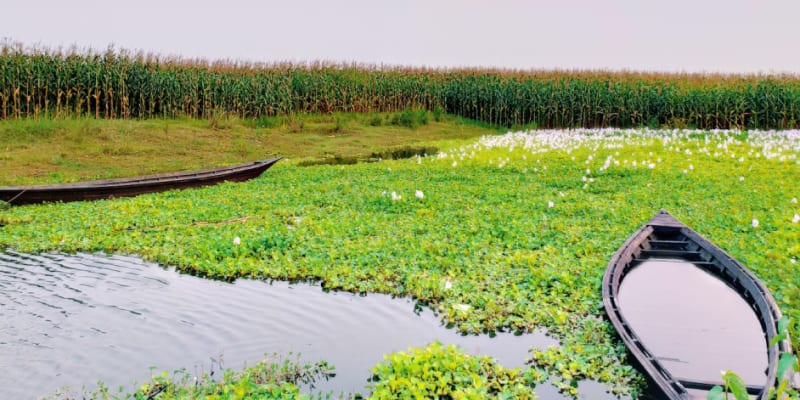 7-Day Assam Meghalaya Tour with Rhinoland