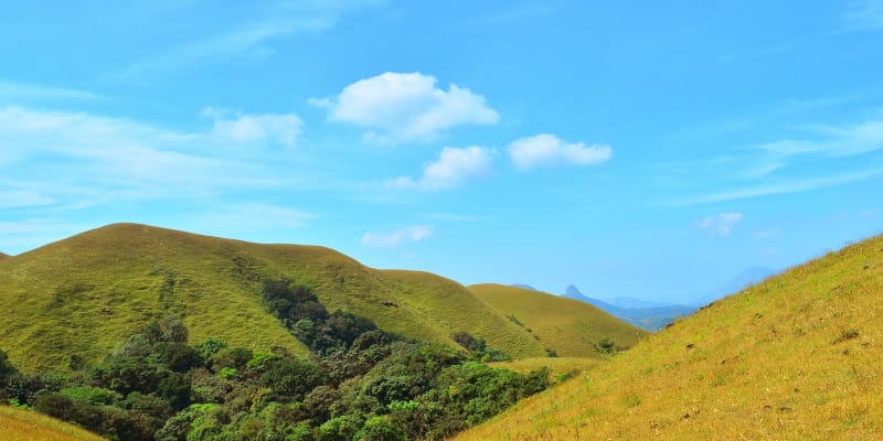 Trekking to Jenukal Gudda