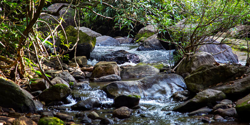 Meenvallam Waterfalls