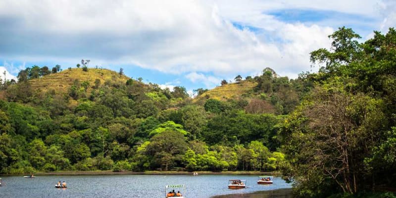 Pookode Lake