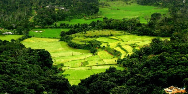 Coorg, Karnataka