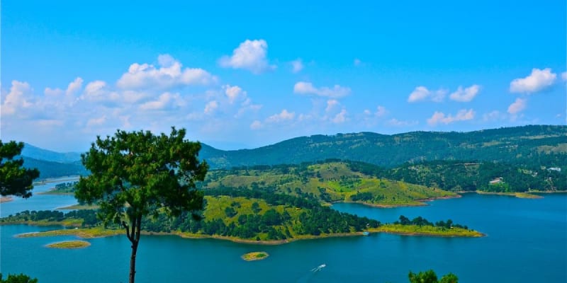 Shillong