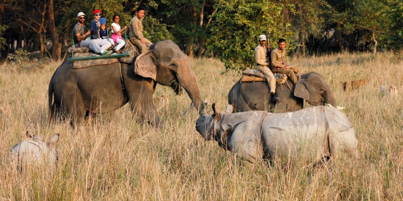 Pobitora Wildlife Sanctuary
