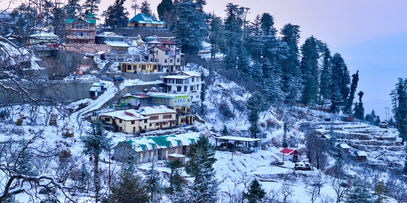 Shimla