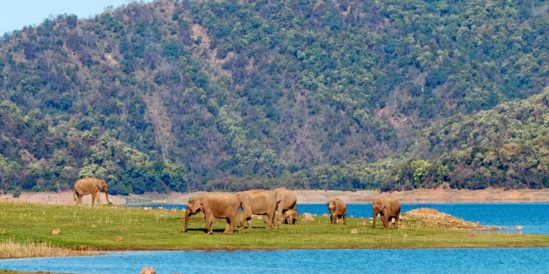 Jim Corbett from Delhi