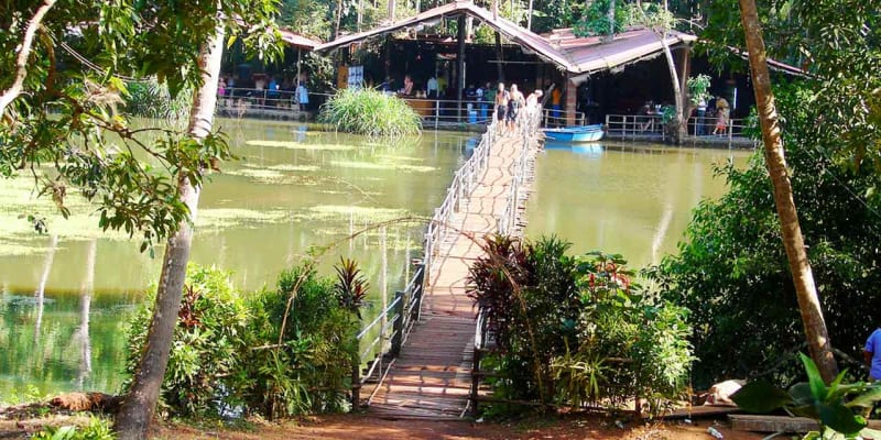 Spice Plantation Tours