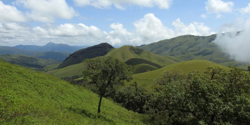 Kodachadri Trek