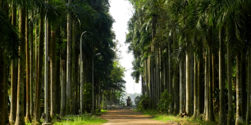 Botanical Garden, Kolkata