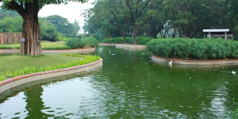 Semmozhi Poonga, Chennai: Botanical Garden Bliss