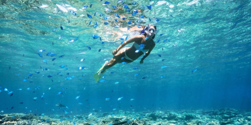 Island Trip with Snorkelling