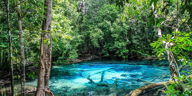 Khao Phanom Bencha National Park
