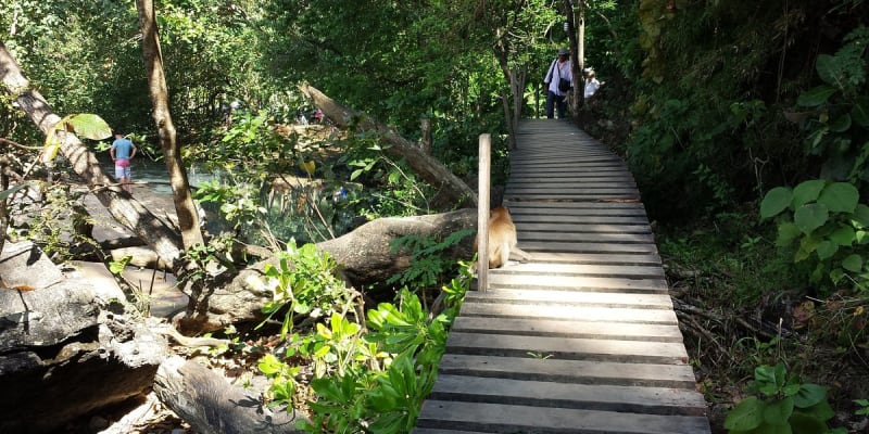 Monkey Trail - Centara Grand, Ao Nang