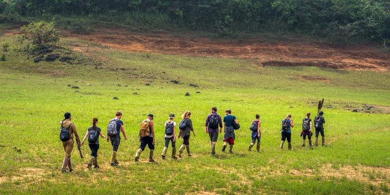 Hike Up The Unadulterated Trails Of Thekkady’s Border.