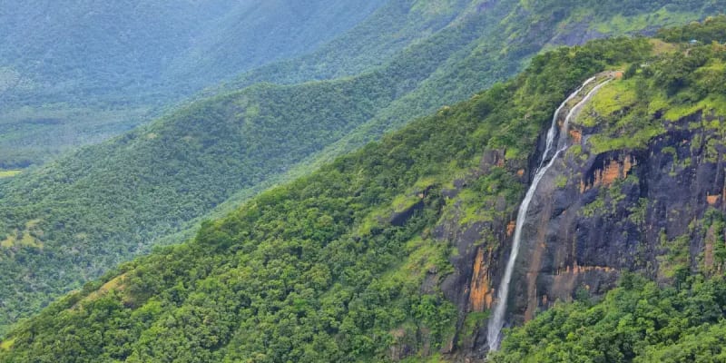 Feel Close To Nature with Walks In Thekkady