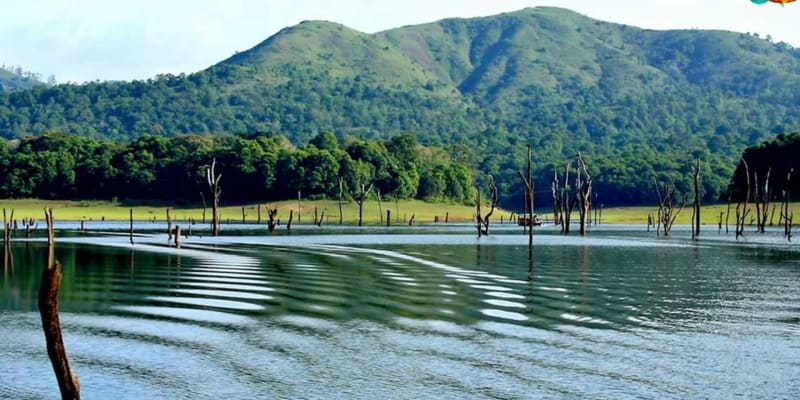 Visit The Mesmerizing Thekkady Lake.