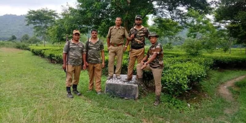 Be A Green Warrior At Jungle Night Patrolling