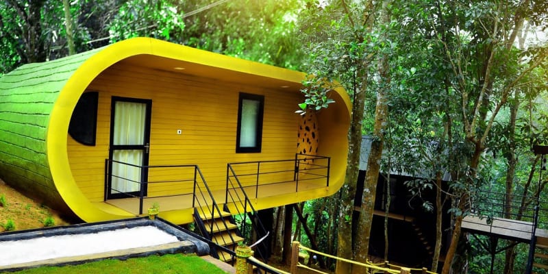 Jungle Beats Resorts