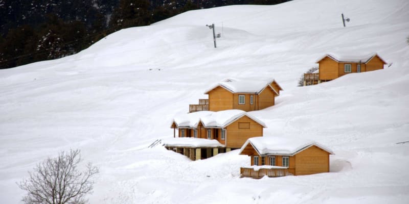 About Shri Krishna Resort, Auli
