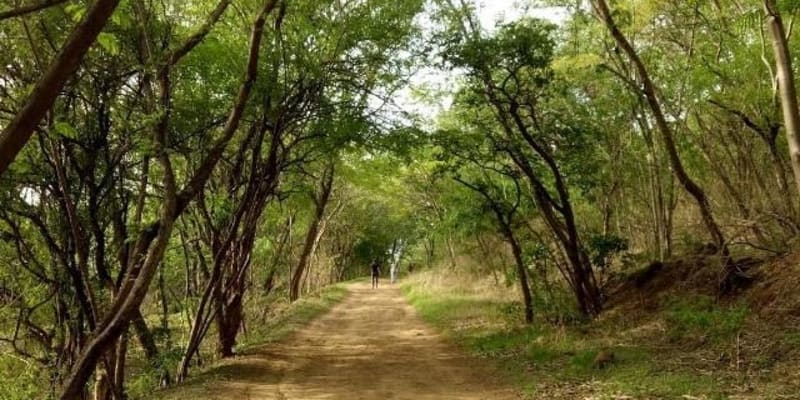 Taljai Hill