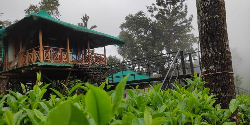 Dream Catcher Plantation Resort