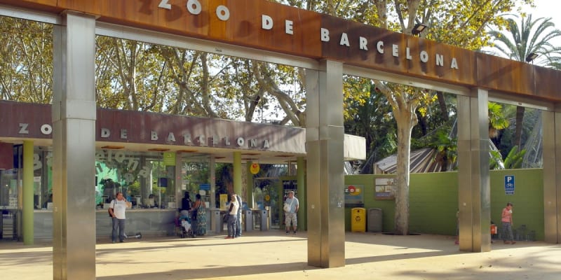 Barcelona Zoo