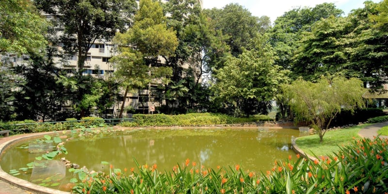 Pearl's Hill City Park