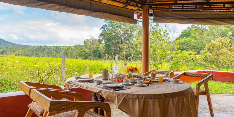 Firefly by the River