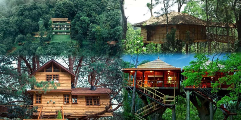 Tree House Stay In The Lap Of Nature, Munnar