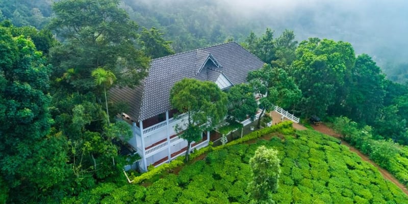 Tea Plantation Stay in Munnar