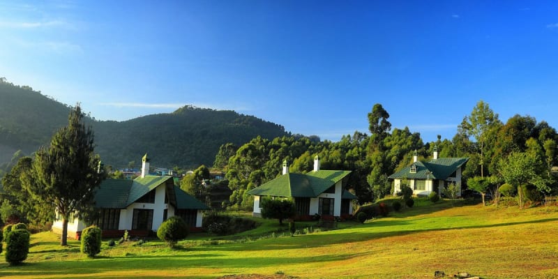 Camp Noel Munnar