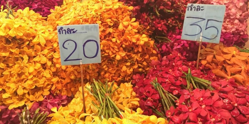 Bangkok Flower Market