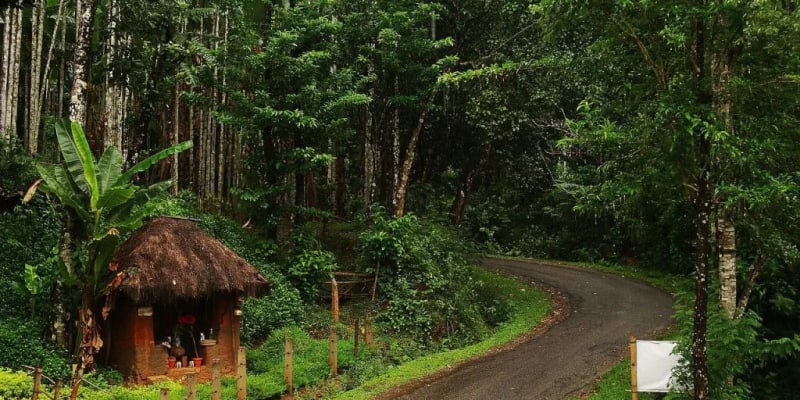 Agumbe