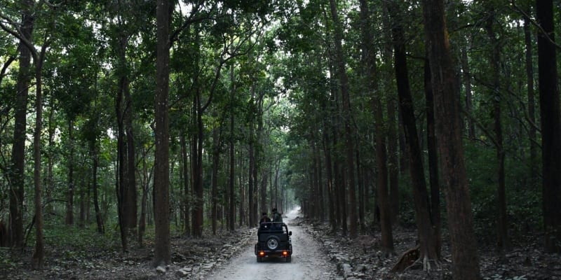 Corbett - 260 km from Delhi