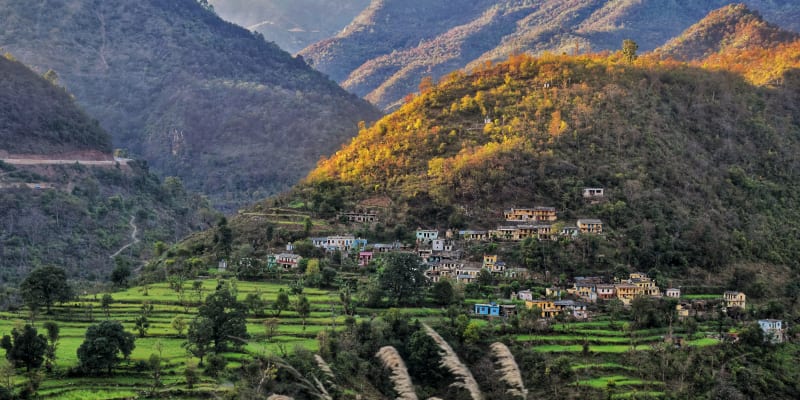 Sultanpur Bird Sanctuary - 40 km from Delhi