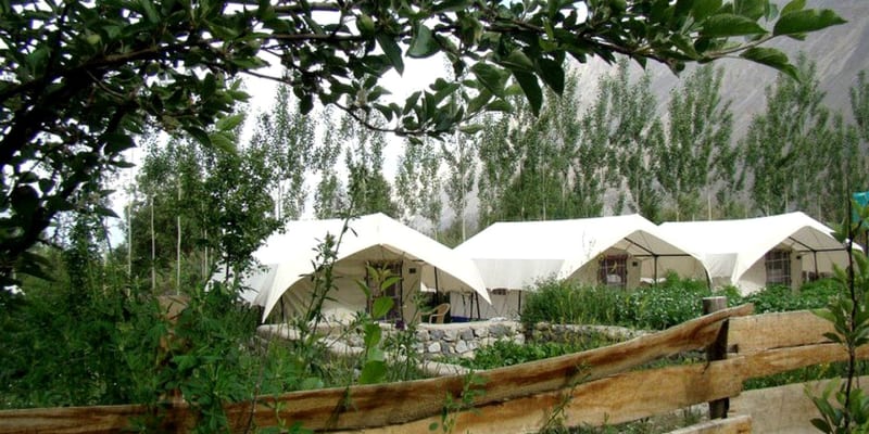 Mystique Meadows Camp