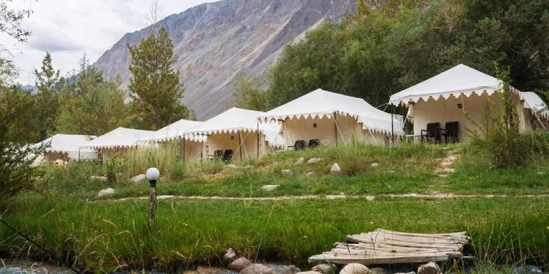 Double Humped Camp Hunder