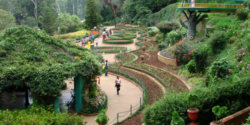 Ooty Botanical Garden